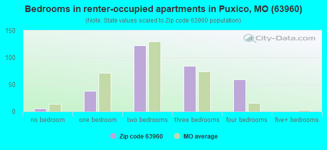 Bedrooms in renter-occupied apartments in Puxico, MO (63960) 