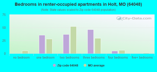 Bedrooms in renter-occupied apartments in Holt, MO (64048) 