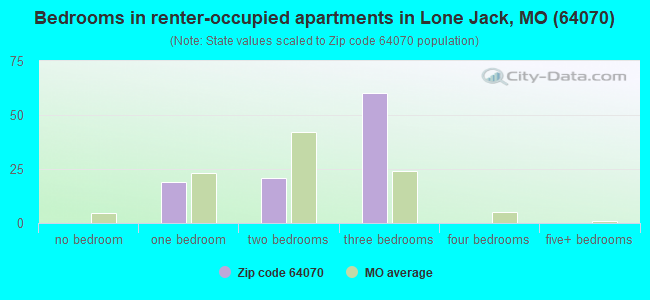 Bedrooms in renter-occupied apartments in Lone Jack, MO (64070) 