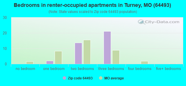 Bedrooms in renter-occupied apartments in Turney, MO (64493) 