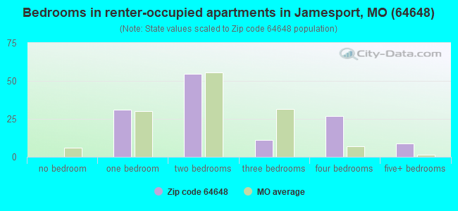 Bedrooms in renter-occupied apartments in Jamesport, MO (64648) 