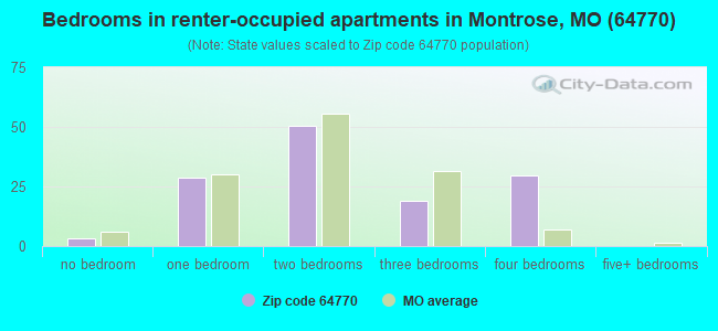 Bedrooms in renter-occupied apartments in Montrose, MO (64770) 