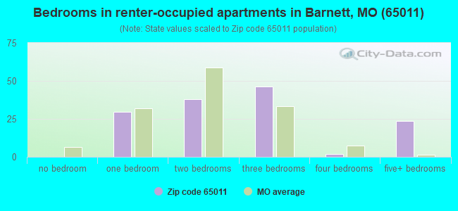 Bedrooms in renter-occupied apartments in Barnett, MO (65011) 