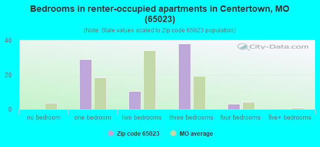 Bedrooms in renter-occupied apartments in Centertown, MO (65023) 