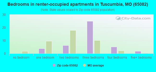 Bedrooms in renter-occupied apartments in Tuscumbia, MO (65082) 