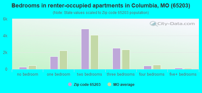 Bedrooms in renter-occupied apartments in Columbia, MO (65203) 
