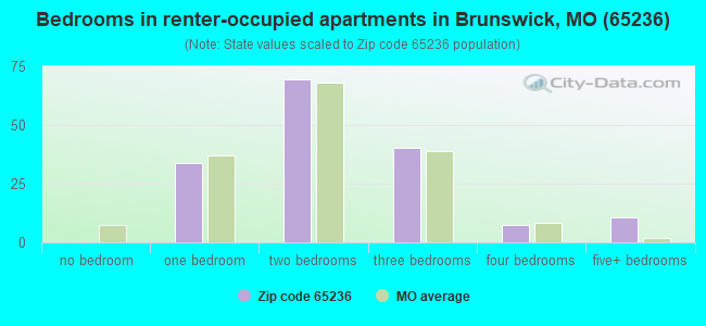 Bedrooms in renter-occupied apartments in Brunswick, MO (65236) 