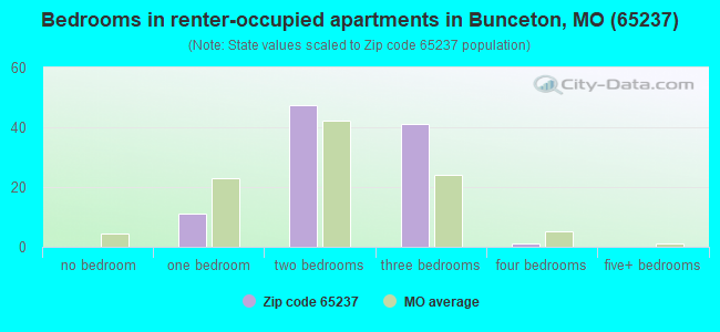 Bedrooms in renter-occupied apartments in Bunceton, MO (65237) 
