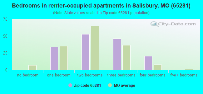 Bedrooms in renter-occupied apartments in Salisbury, MO (65281) 