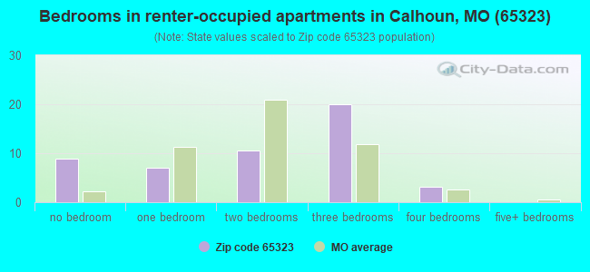 Bedrooms in renter-occupied apartments in Calhoun, MO (65323) 