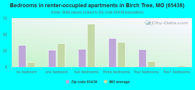 Bedrooms in renter-occupied apartments in Birch Tree, MO (65438) 