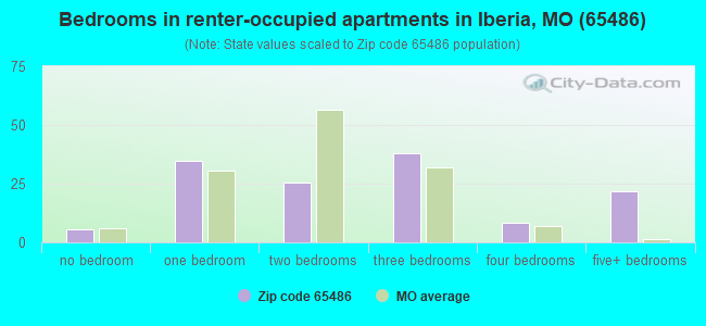 Bedrooms in renter-occupied apartments in Iberia, MO (65486) 