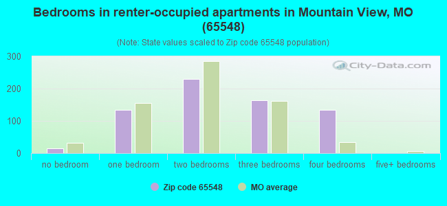 Bedrooms in renter-occupied apartments in Mountain View, MO (65548) 