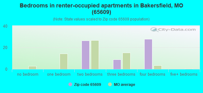 Bedrooms in renter-occupied apartments in Bakersfield, MO (65609) 