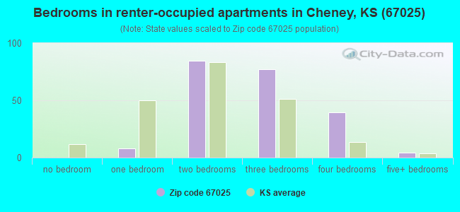 Bedrooms in renter-occupied apartments in Cheney, KS (67025) 