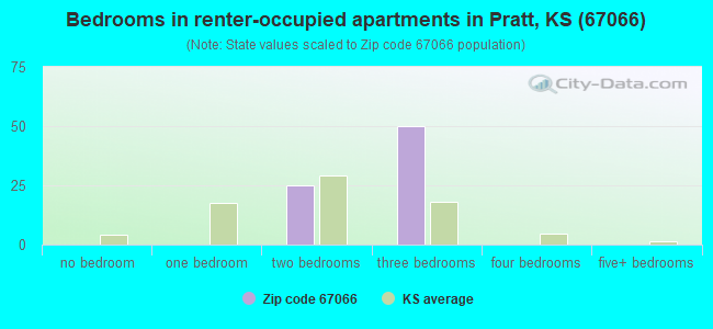 Bedrooms in renter-occupied apartments in Pratt, KS (67066) 