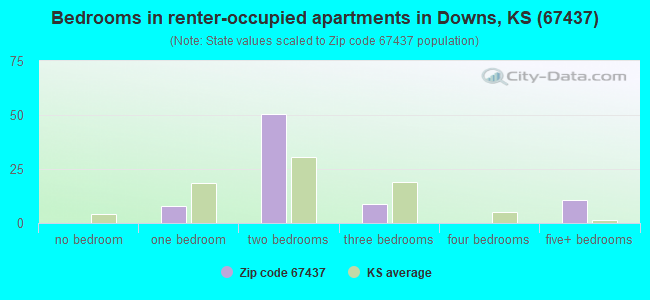 Bedrooms in renter-occupied apartments in Downs, KS (67437) 