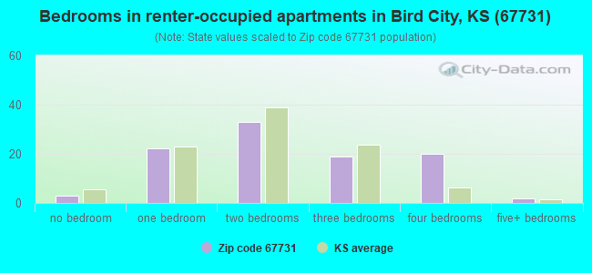 Bedrooms in renter-occupied apartments in Bird City, KS (67731) 