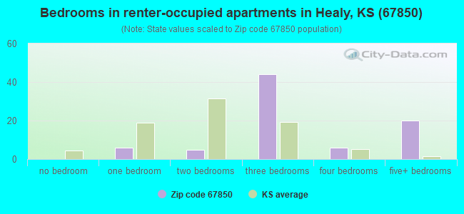 Bedrooms in renter-occupied apartments in Healy, KS (67850) 