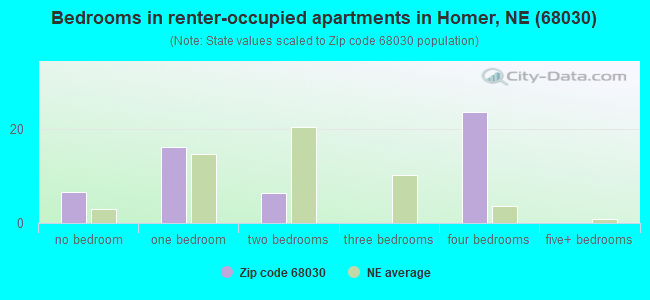 Bedrooms in renter-occupied apartments in Homer, NE (68030) 