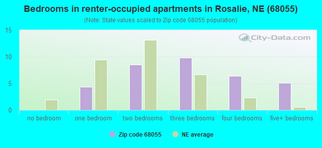 Bedrooms in renter-occupied apartments in Rosalie, NE (68055) 