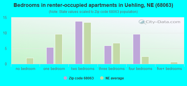 Bedrooms in renter-occupied apartments in Uehling, NE (68063) 