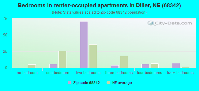 Bedrooms in renter-occupied apartments in Diller, NE (68342) 