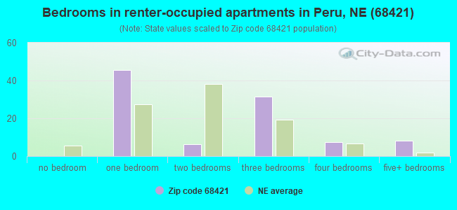 Bedrooms in renter-occupied apartments in Peru, NE (68421) 