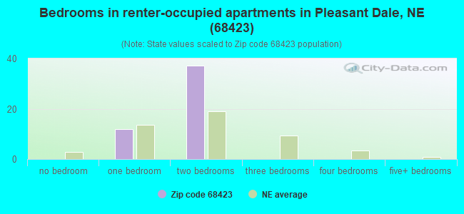 Bedrooms in renter-occupied apartments in Pleasant Dale, NE (68423) 