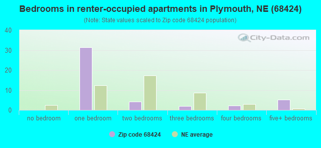 Bedrooms in renter-occupied apartments in Plymouth, NE (68424) 