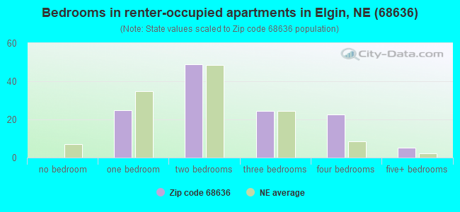 Bedrooms in renter-occupied apartments in Elgin, NE (68636) 