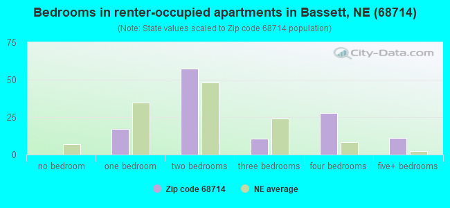 Bedrooms in renter-occupied apartments in Bassett, NE (68714) 