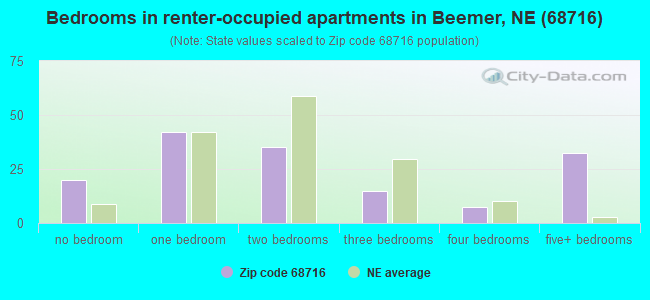 Bedrooms in renter-occupied apartments in Beemer, NE (68716) 