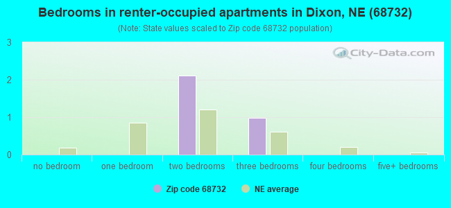 Bedrooms in renter-occupied apartments in Dixon, NE (68732) 