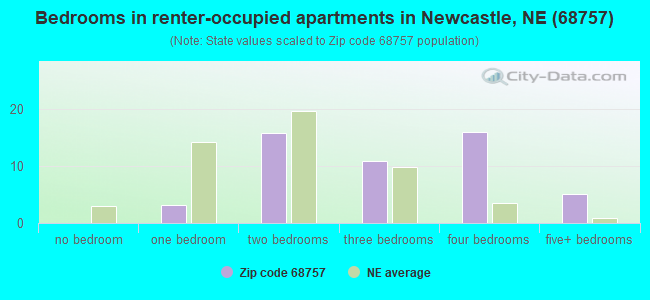 Bedrooms in renter-occupied apartments in Newcastle, NE (68757) 