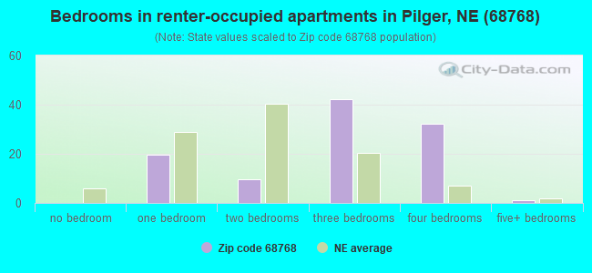 Bedrooms in renter-occupied apartments in Pilger, NE (68768) 