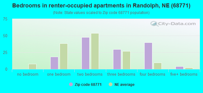 Bedrooms in renter-occupied apartments in Randolph, NE (68771) 