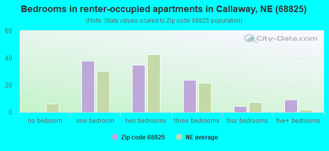 Bedrooms in renter-occupied apartments in Callaway, NE (68825) 
