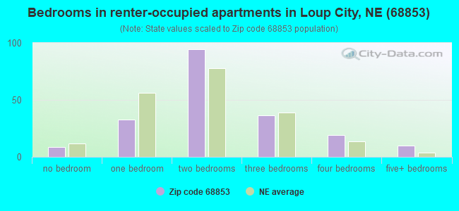 Bedrooms in renter-occupied apartments in Loup City, NE (68853) 