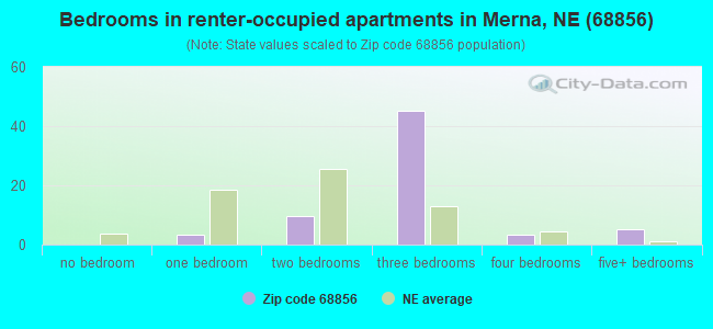 Bedrooms in renter-occupied apartments in Merna, NE (68856) 