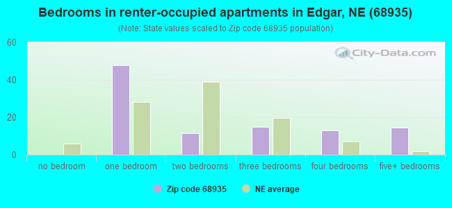 Bedrooms in renter-occupied apartments in Edgar, NE (68935) 