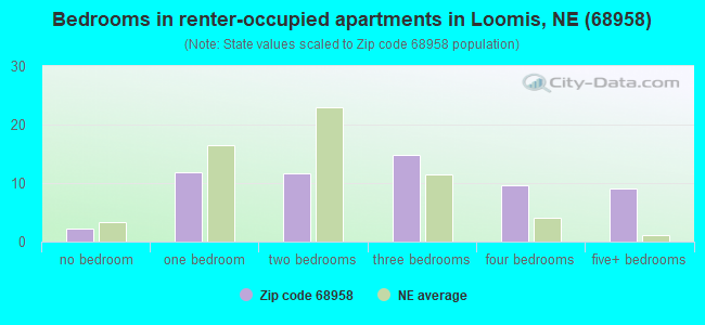 Bedrooms in renter-occupied apartments in Loomis, NE (68958) 