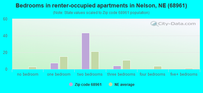 Bedrooms in renter-occupied apartments in Nelson, NE (68961) 