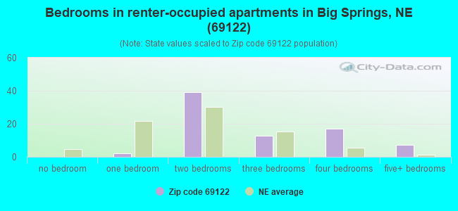 Bedrooms in renter-occupied apartments in Big Springs, NE (69122) 
