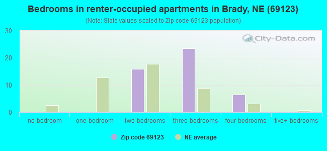 Bedrooms in renter-occupied apartments in Brady, NE (69123) 
