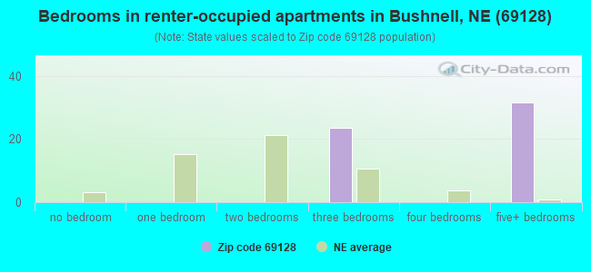 Bedrooms in renter-occupied apartments in Bushnell, NE (69128) 