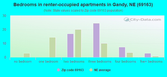 Bedrooms in renter-occupied apartments in Gandy, NE (69163) 