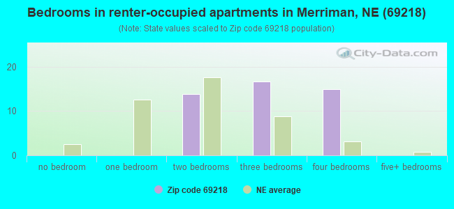 Bedrooms in renter-occupied apartments in Merriman, NE (69218) 