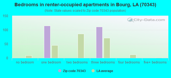 Bedrooms in renter-occupied apartments in Bourg, LA (70343) 