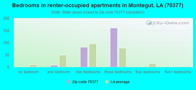Bedrooms in renter-occupied apartments in Montegut, LA (70377) 